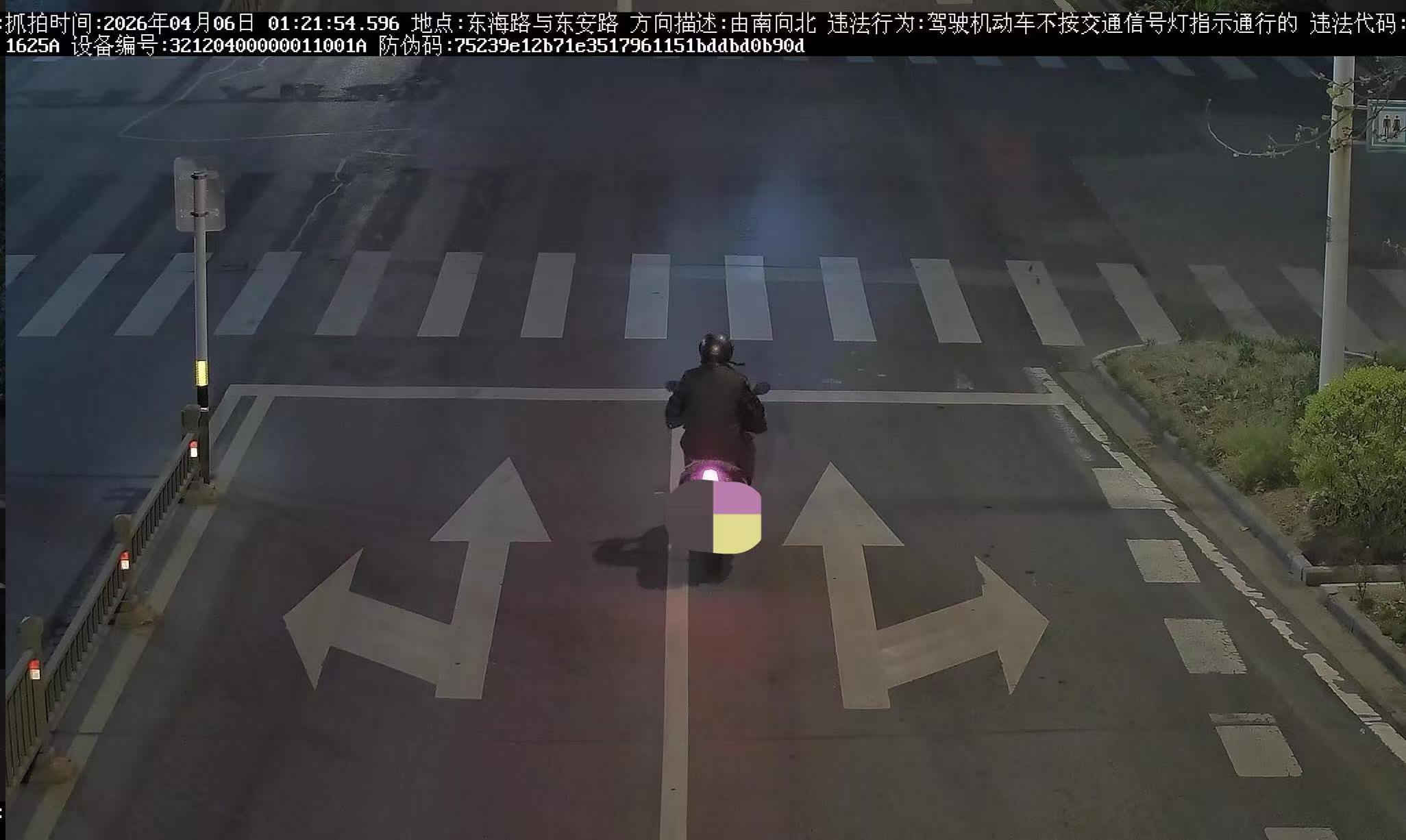 8261.jpeg